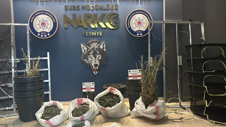 Muğla'da Narkotik Operasyonu: Villayı Sera Gibi Kullanmışlar!