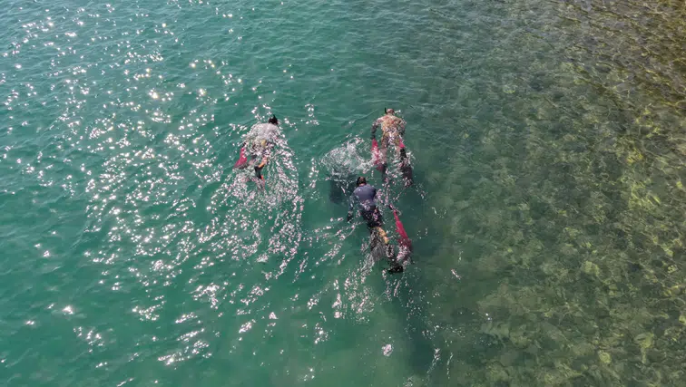 Bodrum’da Deniz Dibi Temizliği Sürüyor: Sıradaki Durak Torba
