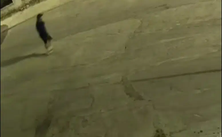 Gonca Köksal Aras’ın Ailesine Saldıran İki Şüpheli Gözaltına Alındı