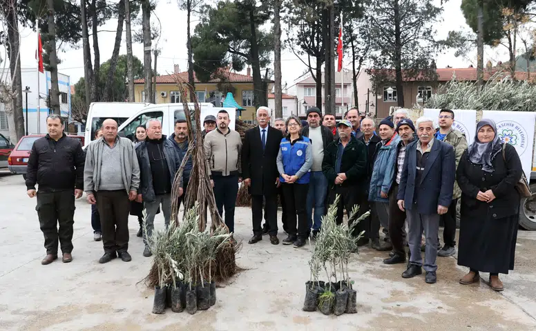 Büyükşehir’den Ula’da Üreticiye Zeytin ve Ceviz Fidanı