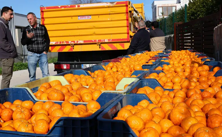 Bodrum Mandalini Türkiye’nin Dört Bir Yanına Ulaşıyor