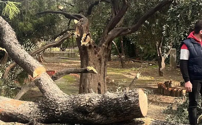 Fırtına Bir Anda Bastırdı… Milas Belediyesi Alarm Verdi
