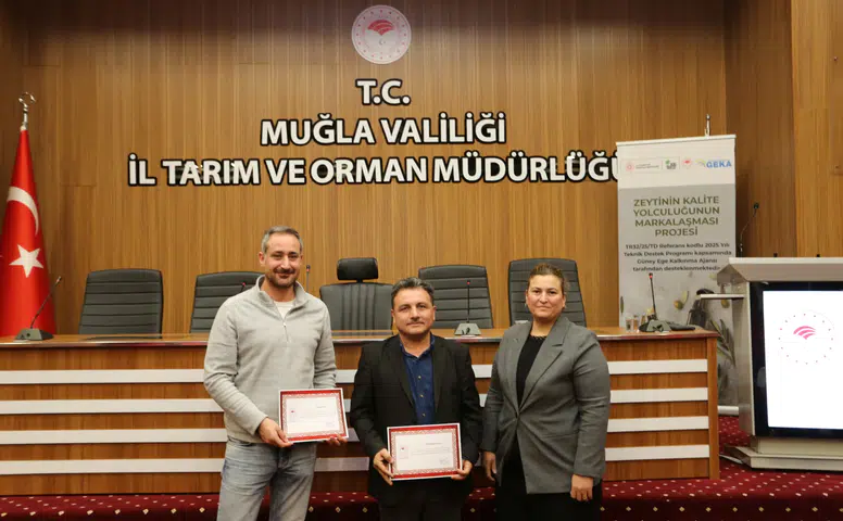 86 Başvurudan 184’e! Muğla Zeytinyağında Rekor Katılım ve Kalite Yarışı