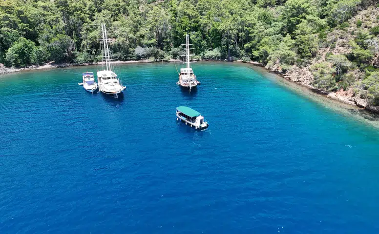 Kıyılar Ranta Açılmadı: Büyükşehir’in Davasında Danıştay’dan Yürütmeyi Durdurma