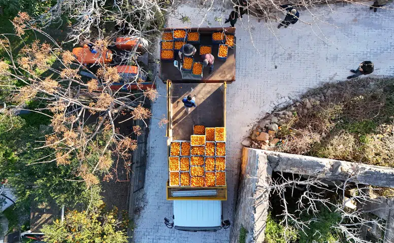 Bodrum Mandalini Ekonomiye 5 Milyon TL Kazandırdı