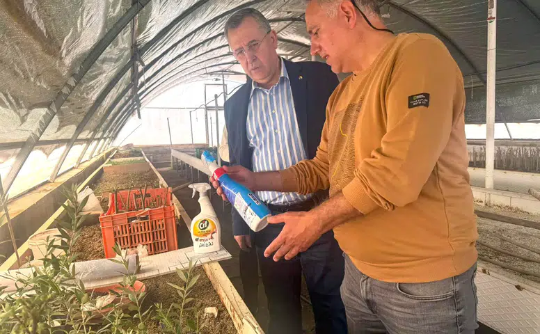 Fethiye Zeytinyağı İçin Tescil Süreci Başladı