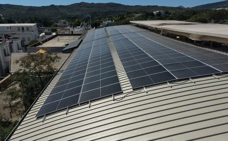 Gözler Bu Projede! Bitez’te Verimlilik Zirve Yaptı