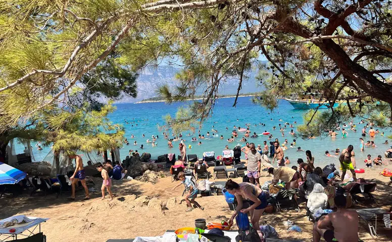 Büyükşehir Yargıya Taşıdı, Bilirkişi Yerle Bir Etti: ÇED Kararı Çöktü!