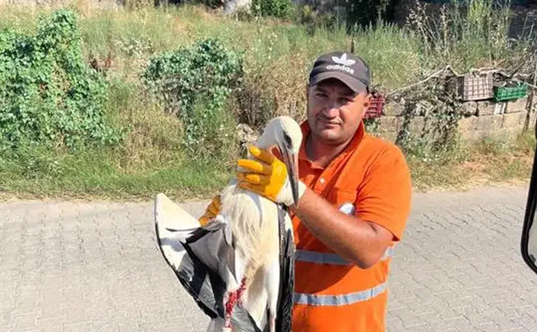 Görevi Başındayken Fark Etti, Yaralı Leyleğin Hayatını Kurtardı