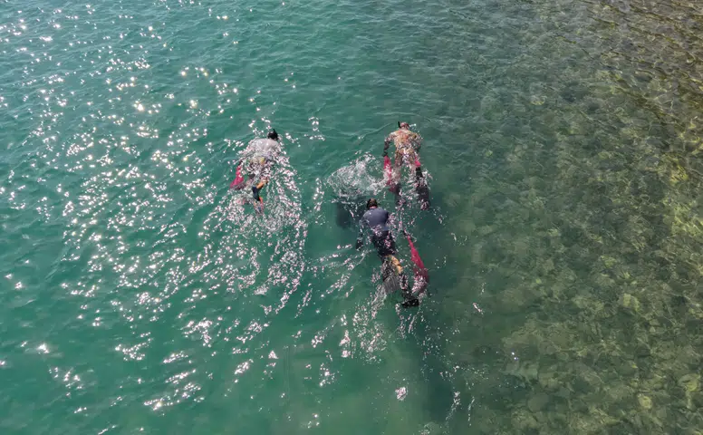 Bodrum’da Deniz Dibi Temizliği Sürüyor: Sıradaki Durak Torba