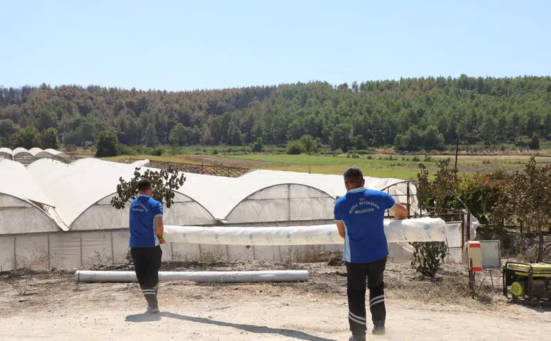 Seydikemer’de Yangının Ardından Üretici İçin Seferberlik